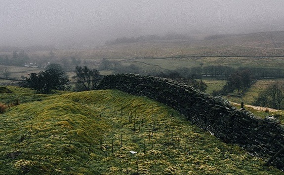 Photo of a foggy countryside